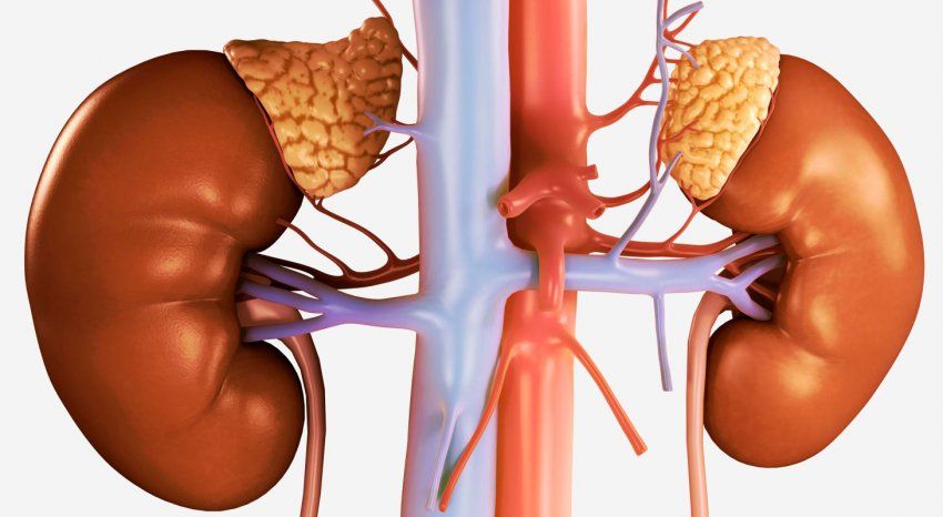 Tumor de glándula suprarrenal